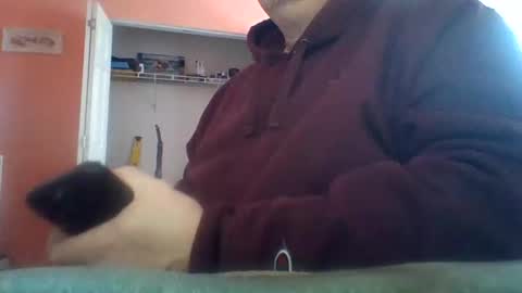 tomcat4848 online show from February 12, 7:50 pm