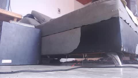   Thomas    online show from November 26, 4:37 pm