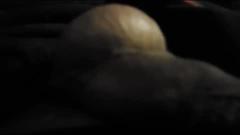 tooshort30w488054 online show from October 19, 7:24 am