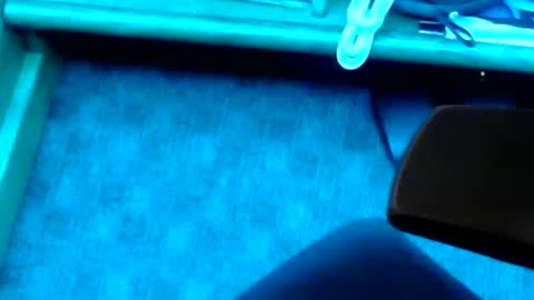 Snapshot of tornne chatting on February 2, 1:19 pm tornne online show from February 2, 1:19 pm