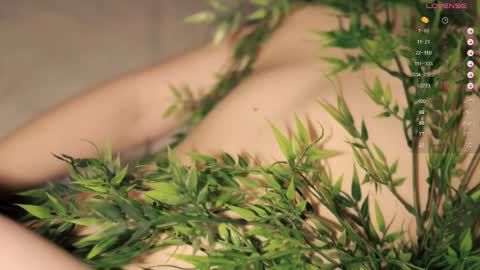 Toshi online show from October 12, 1:04 pm