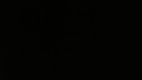 totoro_239 online show from March 24, 8:37 pm