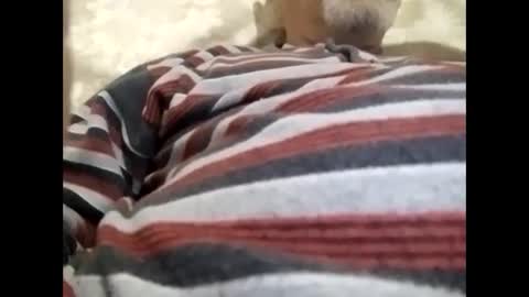 Snapshot of tra649167 chatting on February 9, 8:02 pm tra649167 online show from February 9, 8:02 pm