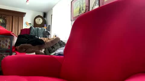 Snapshot of trebgeis1 chatting on March 4, 11:19 am trebgeis1 online show from March 4, 11:19 am