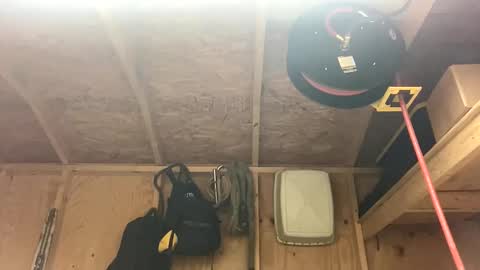 treeman817 online show from March 18, 2:28 am