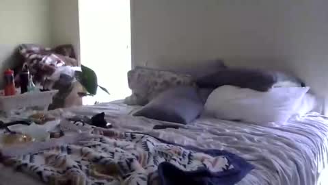 trickquestion online show from January 13, 8:38 pm