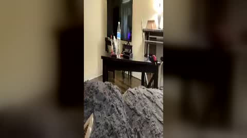 trickydick6 online show from June 20, 9:32 pm