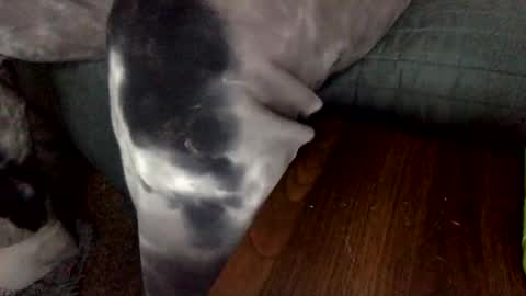 alexxxander online show from January 16, 2:53 am