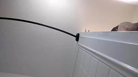 ttimmyt online show from September 23, 7:35 am