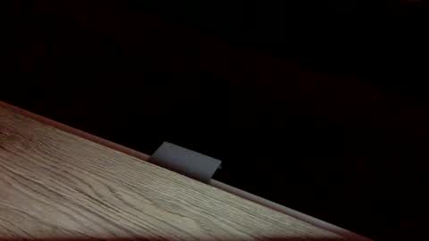 tvstefanie1 online show from December 1, 8:33 pm