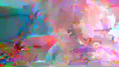 twayne29x online show from December 27, 9:17 am