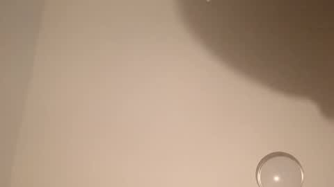 twest84 online show from November 7, 10:07 am