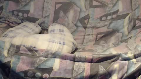 Snapshot of tyson2525 chatting on February 23, 4:17 am Helena and Tyson online show from February 23, 4:17 am