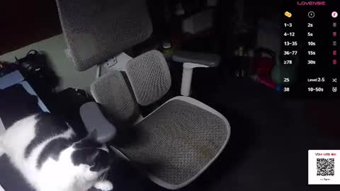 Under the desk online show from June 16, 9:41 pm