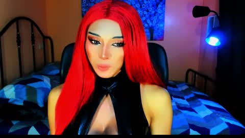 My bella 3 online show from November 11, 1:30 am