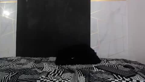 VALENTIN  online show from March 6, 6:34 am