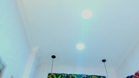   online show from December 28, 6:29 pm