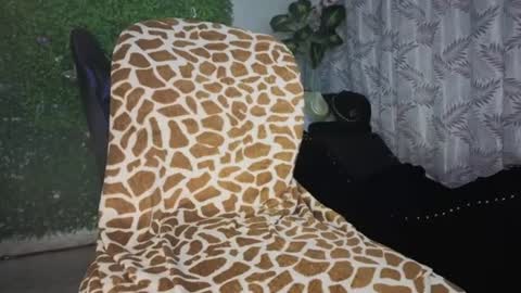 valquiria_sirgun online show from July 31, 10:38 am