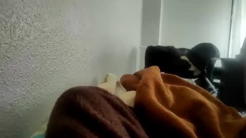 Catalina INSTA FOLLOW  online show from November 19, 11:53 am