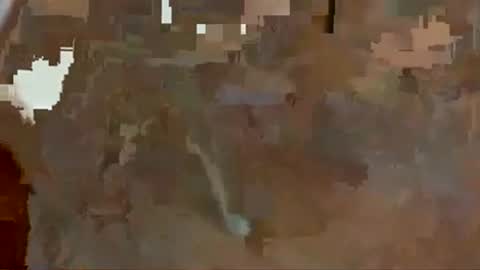 Geovani Agustin Garcia online show from March 15, 1:47 pm