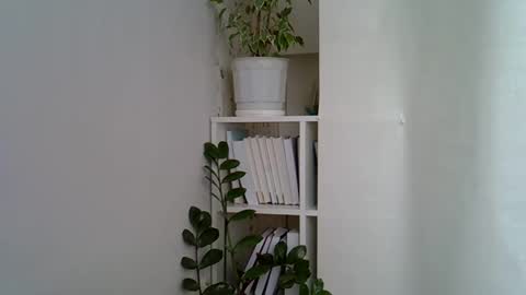 vea_motty online show from April 23, 12:29 pm
