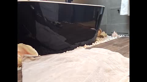 Snapshot of veined_lollypop chatting on November 2, 9:20 am Veined lollypop online show from November 2, 9:20 am