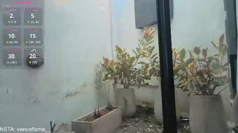 VENUS online show from July 16, 1:36 pm