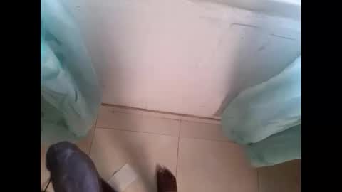 ver_gonblack online show from September 16, 12:29 pm