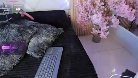 veronica_hill_ online show from April 28, 3:11 am