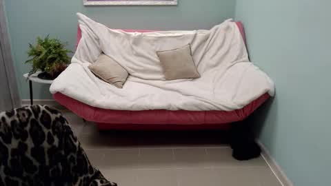 Helen online show from March 12, 11:42 am