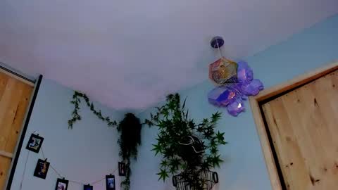 Victoria   online show from January 7, 10:48 pm