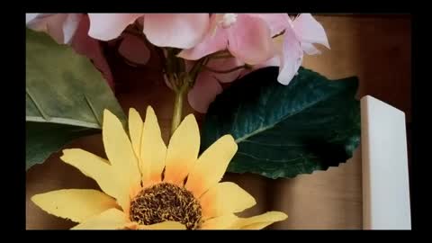 vickyvalencia2 online show from May 4, 1:50 pm