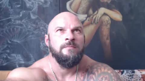 viking online show from July 25, 2:59 pm