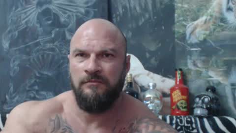 viking online show from June 17, 6:13 pm