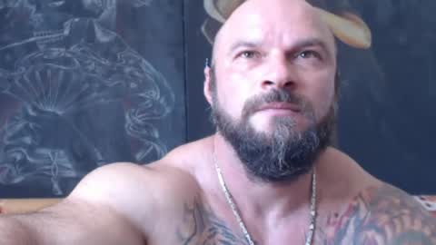 viking online show from August 1, 10:50 am