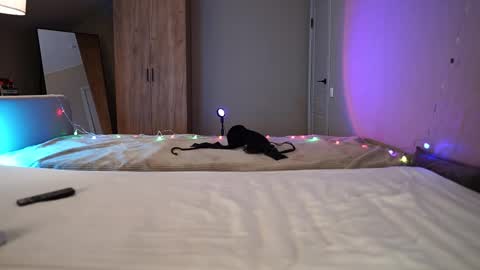 VIKKI online show from December 21, 9:05 am