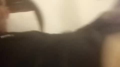 vino1634 online show from March 8, 9:08 pm