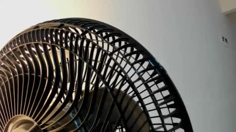 Violet Rose online show from January 5, 8:12 pm