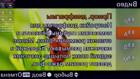 Nelly and Mari online show from July 27, 10:56 am