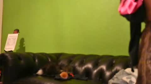 vixensixx online show from July 10, 5:34 am