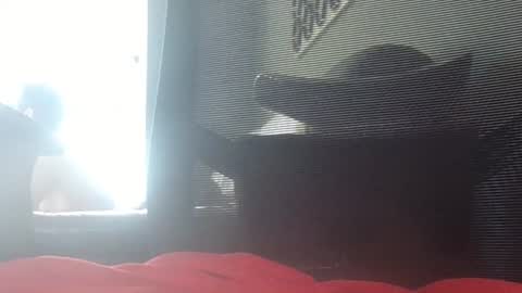 Wetbigdickstream online show from June 15, 11:46 am