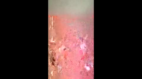 wetlilys online show from June 7, 4:01 pm