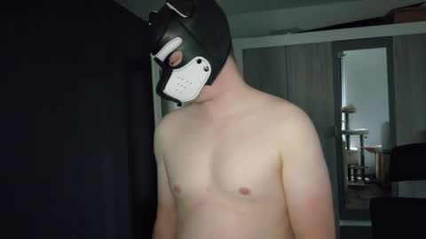 white_pup online show from May 4, 4:57 pm