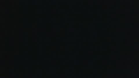 whitehead_lion online show from September 18, 7:07 pm