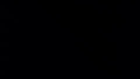 whitehead_lion online show from February 21, 5:31 pm