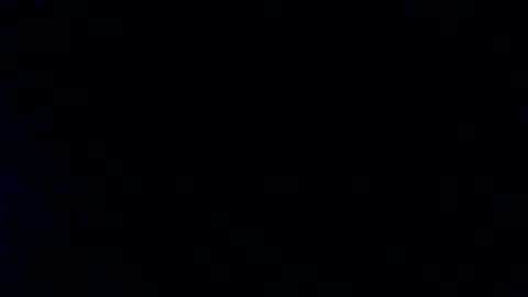 whitehead_lion online show from January 29, 2:00 pm