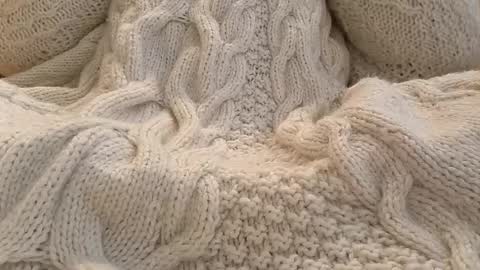 whitesweater online show from February 9, 6:39 am