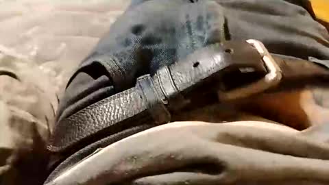 whodunnitwrangler online show from November 24, 9:08 am