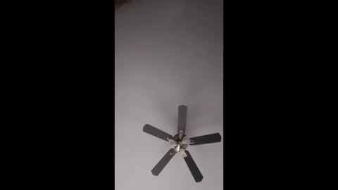 whyyuhcare7022 online show from September 27, 2:20 am