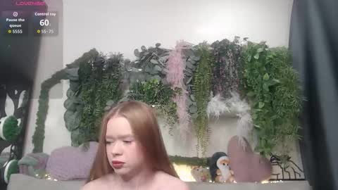 wiagra online show from February 27, 10:19 am